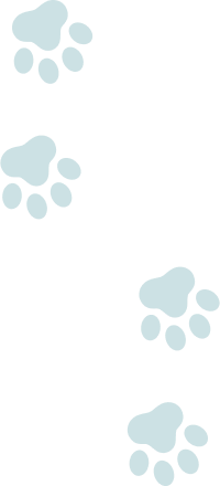 犬の肉球背景画像